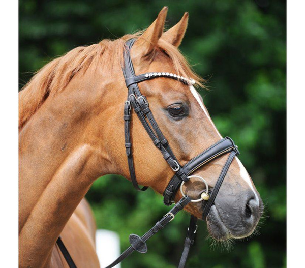 Ogłowie z nachrapnikiem kombinowanym Kavalkade Cortica Vegan