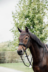 Nauszniki klasyczne Kentucky Horsewear Wellington Stone & Pearl