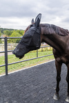Maska przeciw owadom z uszami i ochroną nosa Kentucky Horsewear Heart