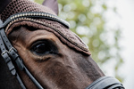 Nauszniki klasyczne Kentucky Horsewear Wellington Stone & Pearl