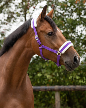 Kantar z futerkiem QHP Cali