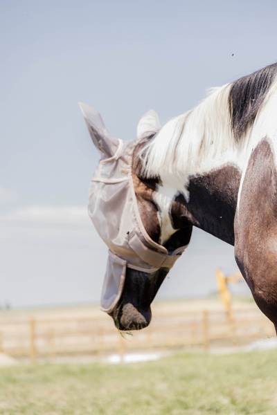 Maska przeciw owadom z uszami i ochroną nosa Kentucky Horsewear Classic