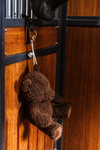 Zabawka dla konia do boksu Kentucky Horsewear Bear