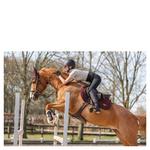 Pad skokowy ANKY® Leafs