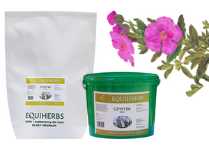 Czystek EQUIHERBS