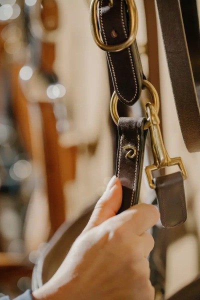 Kantar skórzany Dy'on D Collection DY09A