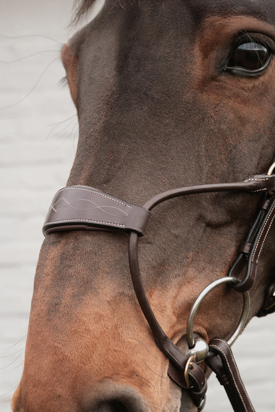 Ogłowie z nachrapnikiem przelotowym Dy'on D Collection DYABA7