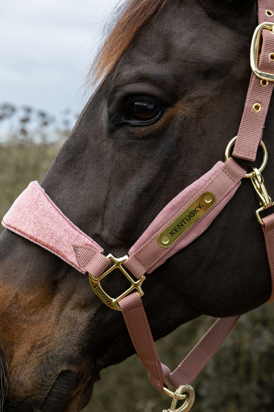 Kantar dla konia Kentucky Horsewear Velvet Unicorn Glitter