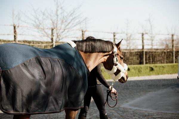 Derka siatkowo-osuszająca Kentucky Horsewear Mesh Combo Cooler Sheet