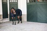Derka osuszająca Kentucky Horsewear 3D Spacer Cooler Sheet