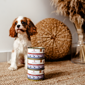 Karma mokra Perro JUNIOR - Indyk i dynia