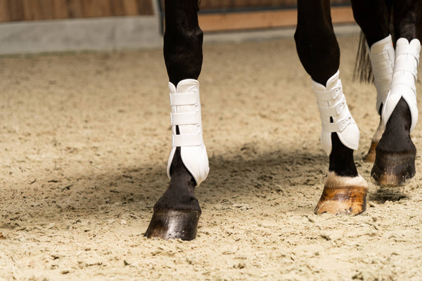 Ochraniacze ujeżdżeniowe Schockemöhle Sports Air Flow Champion - przody