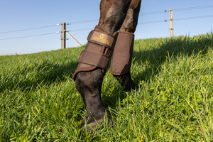 Ochraniacze treningowe Kentucky Horsewear Turnout Boots 3D Spacer - przody