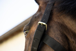 Kantar dla konia Kentucky Horsewear Heavy Duty