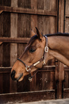Kantar z nachrapnikiem sznurkowym Kentucky Horsewear Leather Rope