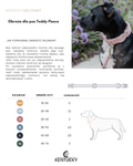 Obroża dla psa Kentucky Dogwear Teddy