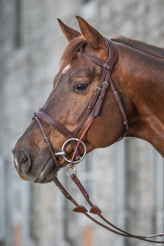 Paski policzkowe do cyganki Dy'on New English NE03B