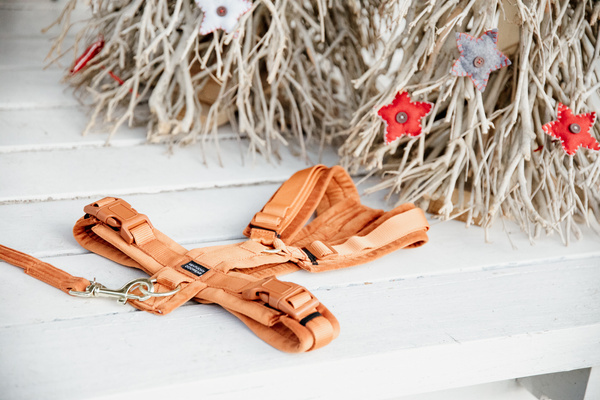 Szelki dla psa Kentucky Dogwear Active Velvet