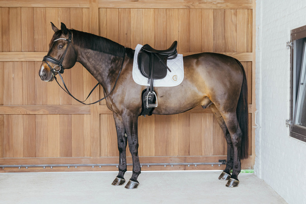Czaprak ujeżdżeniowy Kentucky Horsewear Wave