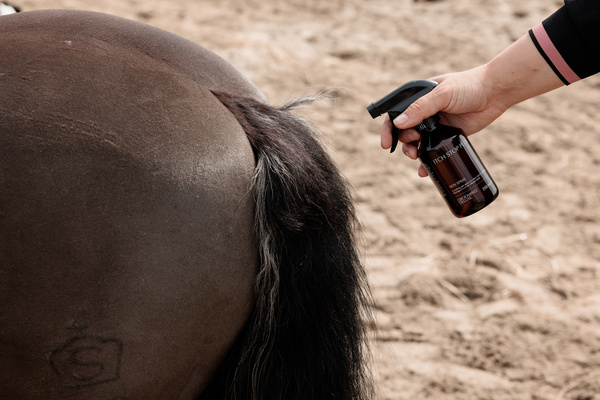 Preparat pielęgnacyjny łagodzący świąd i podrażnienia skóry konia Grooming Deluxe Itch Stop Plus Spray