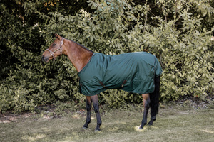 Derka padokowa Kentucky Horsewear All Weather Waterproof Pro 160g