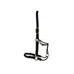 Kantar Kentucky Horsewear Grooming