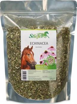 Jeżówka Stiefel Echinacea