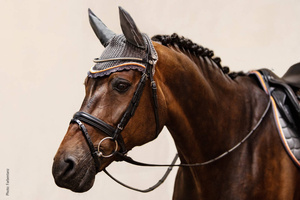 Nauszniki Schockemöhle Sports Dynamite