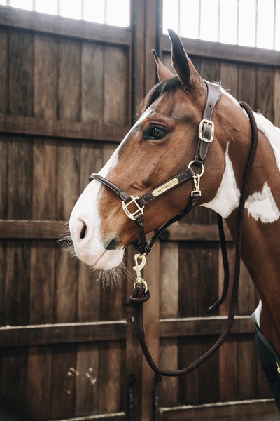 Kantar anatomiczny Kentucky Horsewear Anatomic Leather Halter