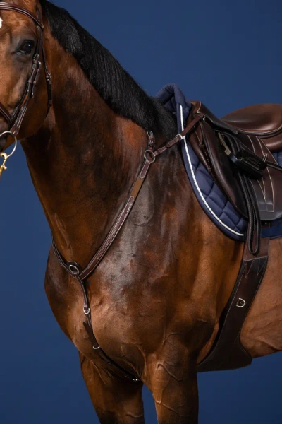 Napierśnik z mostkiem Dy'on US Collection US06D