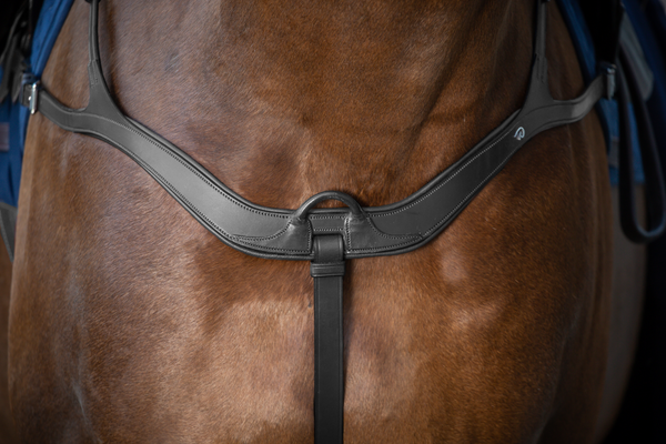 Napierśnik z mostkiem Dy'on New English Collection NE06B