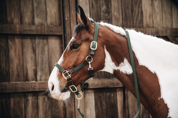 Kantar dla konia Kentucky Horsewear Plaited Nylon