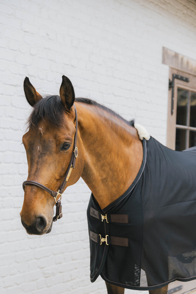 Derka siatkowa przeciw owadom Kentucky Horsewear Mesh Fly Sheet