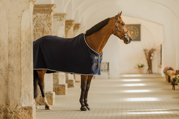 Derka osuszająca Kentucky Horsewear Show Vegan Wool