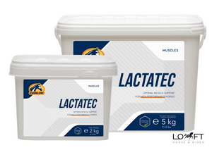 Suplement wspierający wydajność mięśni Cavalor LactaTec