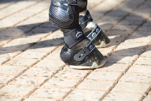 Kaloszki karbonowe dla konia Veredus Carbon Shield