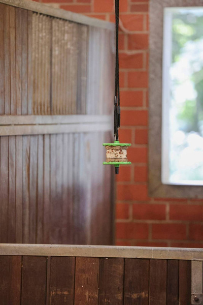 Przysmak dla konia Delizia Sandwich