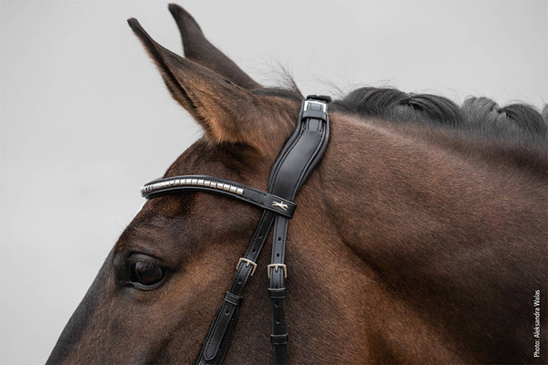 Pasek potyliczny Schockemöhle Sports Equitus Rho