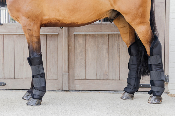Ochraniacze stajenno-transportowe z osłoną stawu skokowego Kentucky Horsewear Stable Boots PROtect Long Hind with Hook Protection