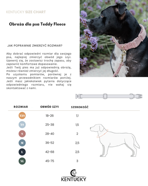 Obroża dla psa Kentucky Dogwear Teddy