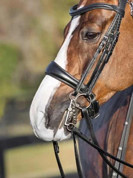 Nachrapnik szwedzki kombinowany z paskiem krzyżowym Equiline Gold Clincher