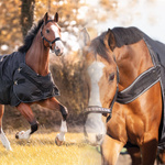 Derka padokowa i do karuzeli Kavalkade Halifax 2in1 200g