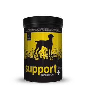 Suplement wspierający aparat ruchu u psów Pokusa ChondroLine Support +HA