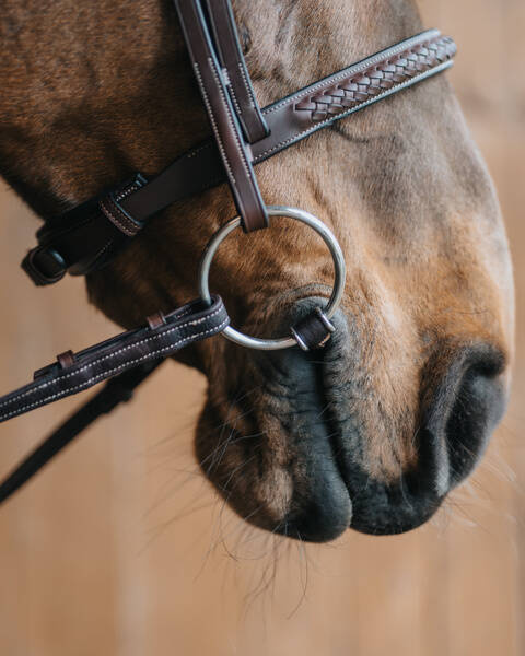 Wędzidło zwykłe FAGER Adam - skórzana sztanga