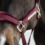 Kantar Kentucky Horsewear Velvet