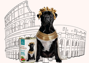 Karma mokra dla psów Pokusa Nutri World Smaki Świata – Włochy / Przepiórka 400g