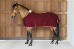 Derka osuszająco-termiczna dla konia Kentucky Horsewear Cooler Rug PROtherm