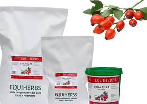 Dzika róża EQUIHERBS