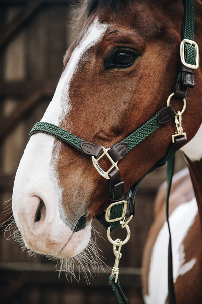 Kantar dla konia Kentucky Horsewear Plaited Nylon