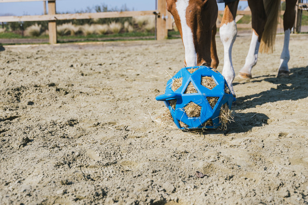 Piłka na siano dla konia Kentucky Horsewear Relax Horse Play & Hay Ball